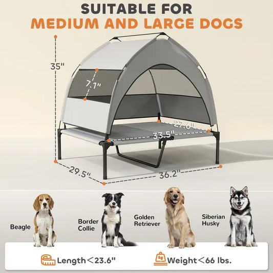 Elevated Dog Bed With Removable Canopy by luvipets