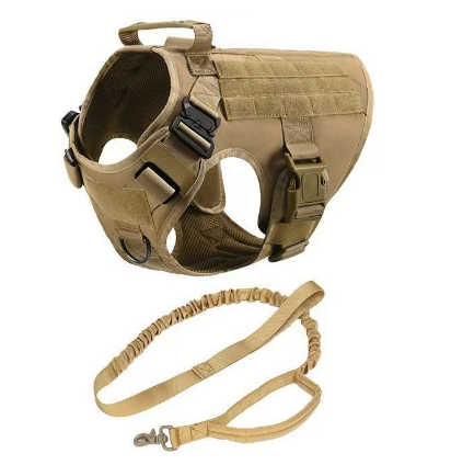 Military Dog Tactical by luvipets
