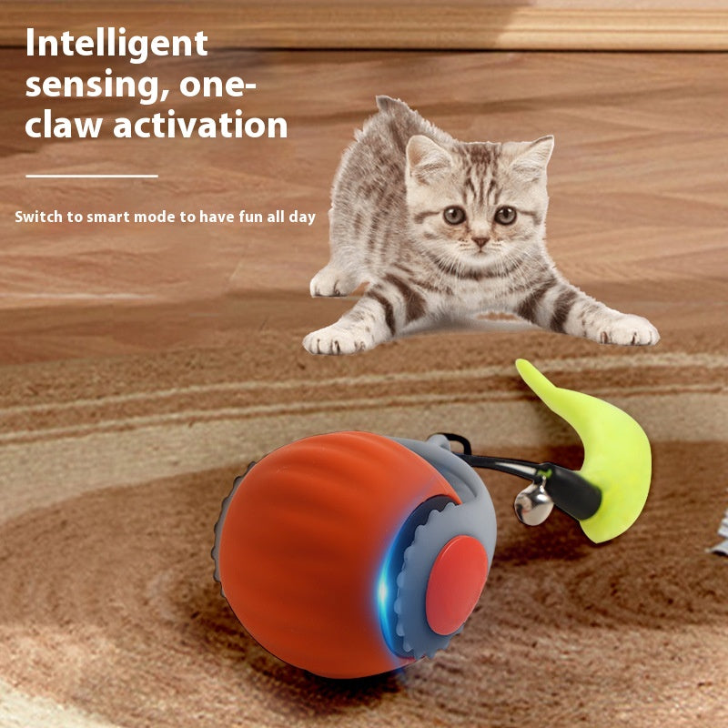 Pet With Gravity Sudden Ball Cat by luvipets