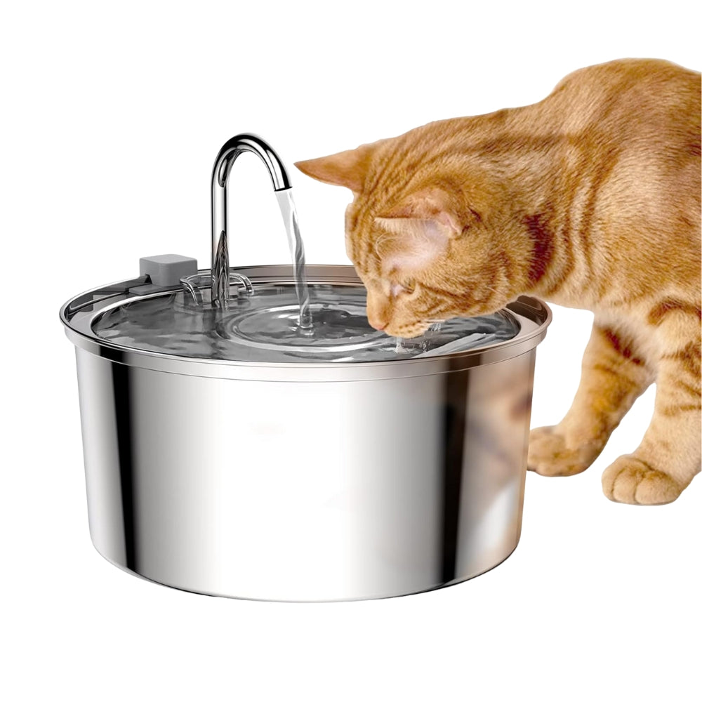 Stainless Steel Pet Water Feeder by luvipets