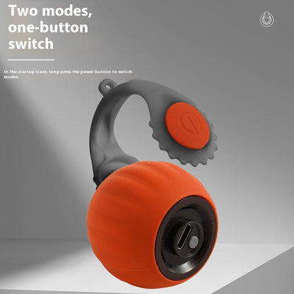 Pet With Gravity Sudden Ball Cat by luvipets