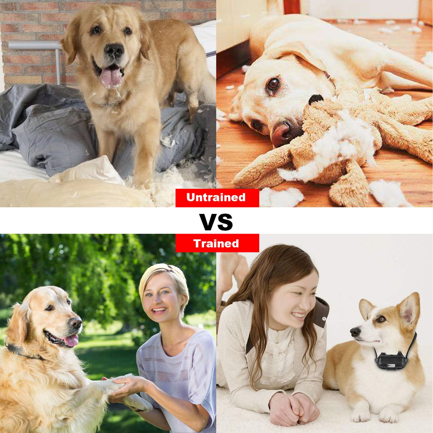 1Pc Dog Training Collar With Remote by luvipets