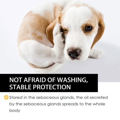 Pet External Deworming Drops For Cats And Dogs