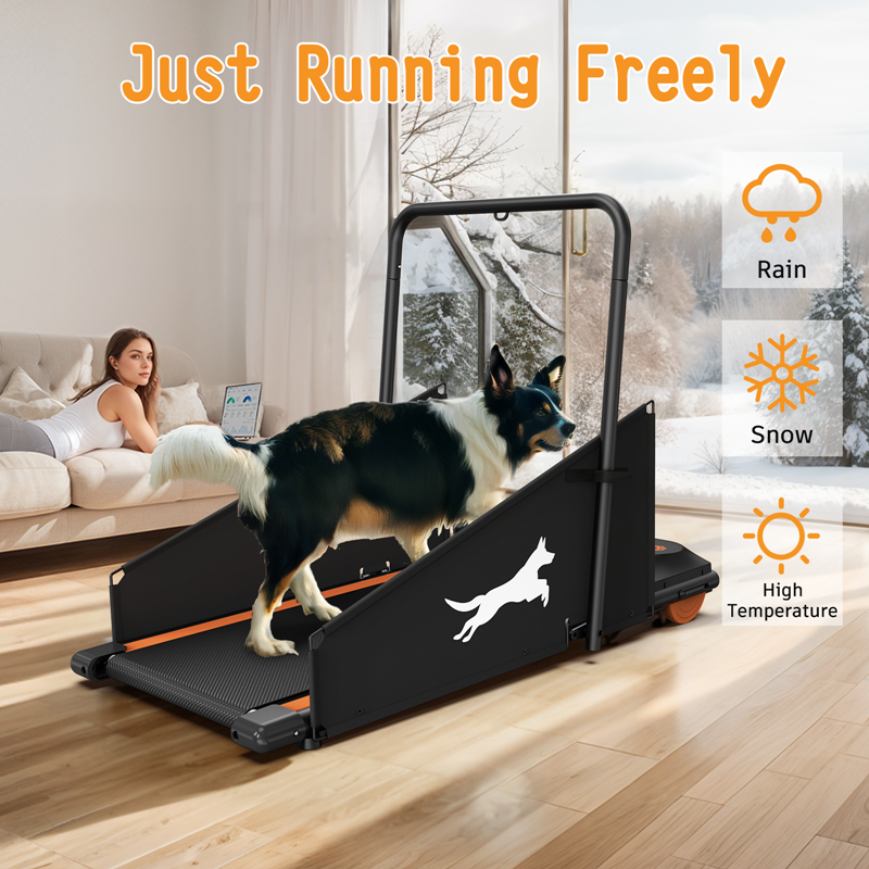 Dog Treadmill Small and Medium Dogs by luvipet