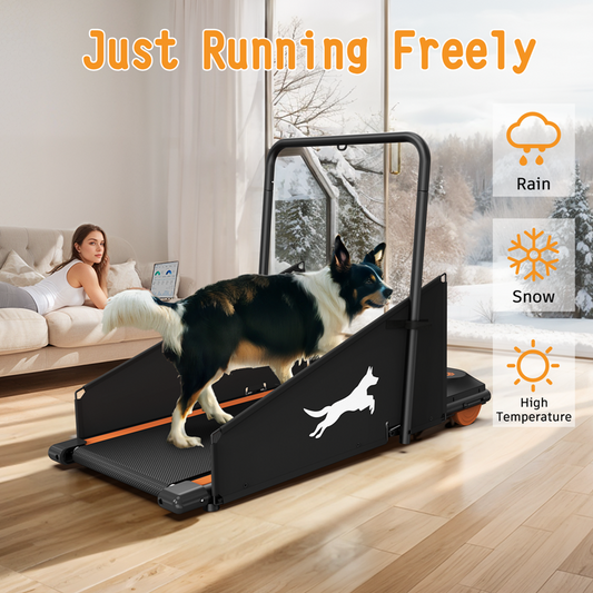 Dog Treadmill Small and Medium Dogs by luvipet