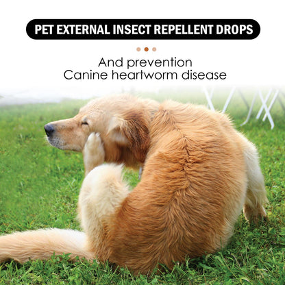 Pet External Deworming Drops For Cats And Dogs