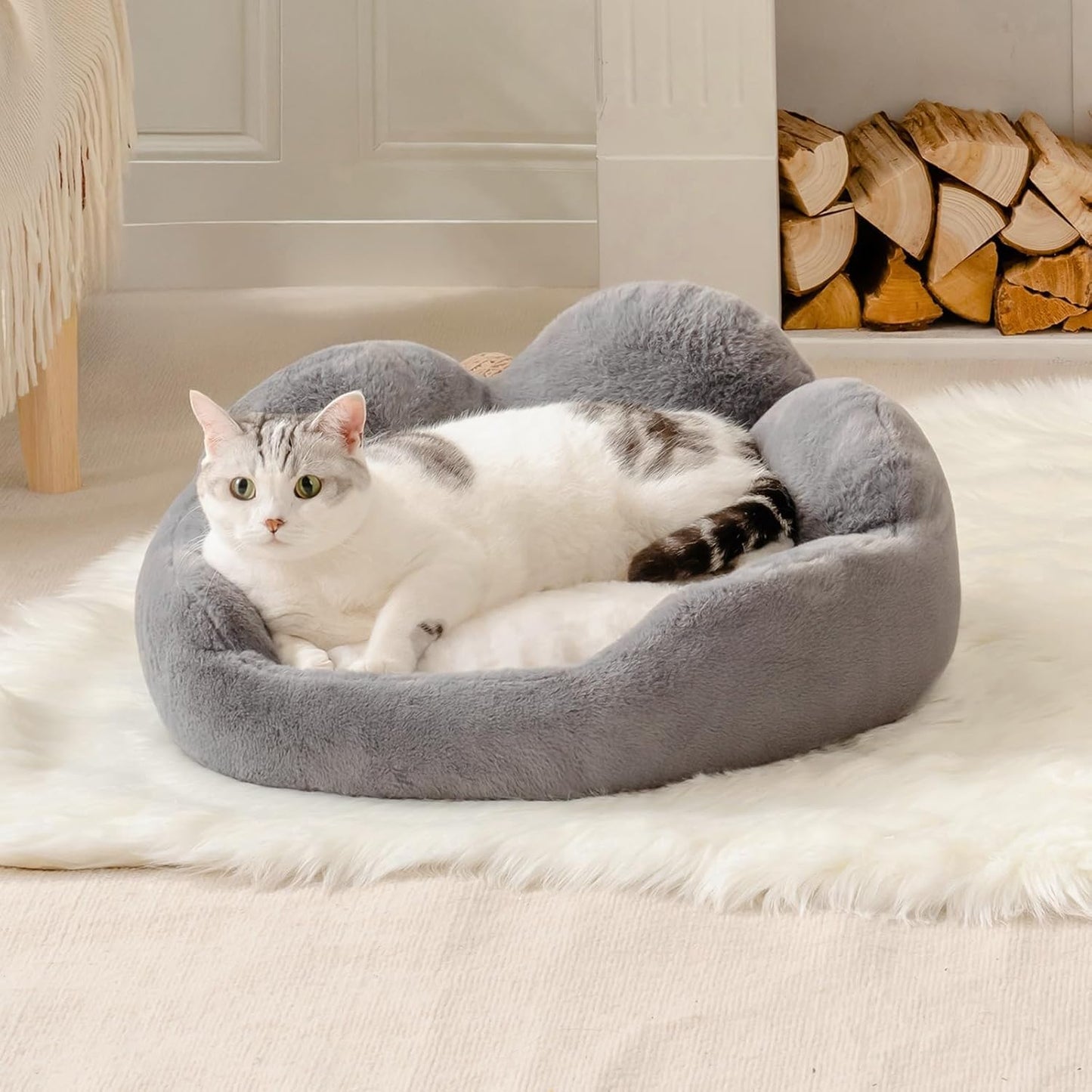 Cat Bed And Small Dog Bed by luvipets
