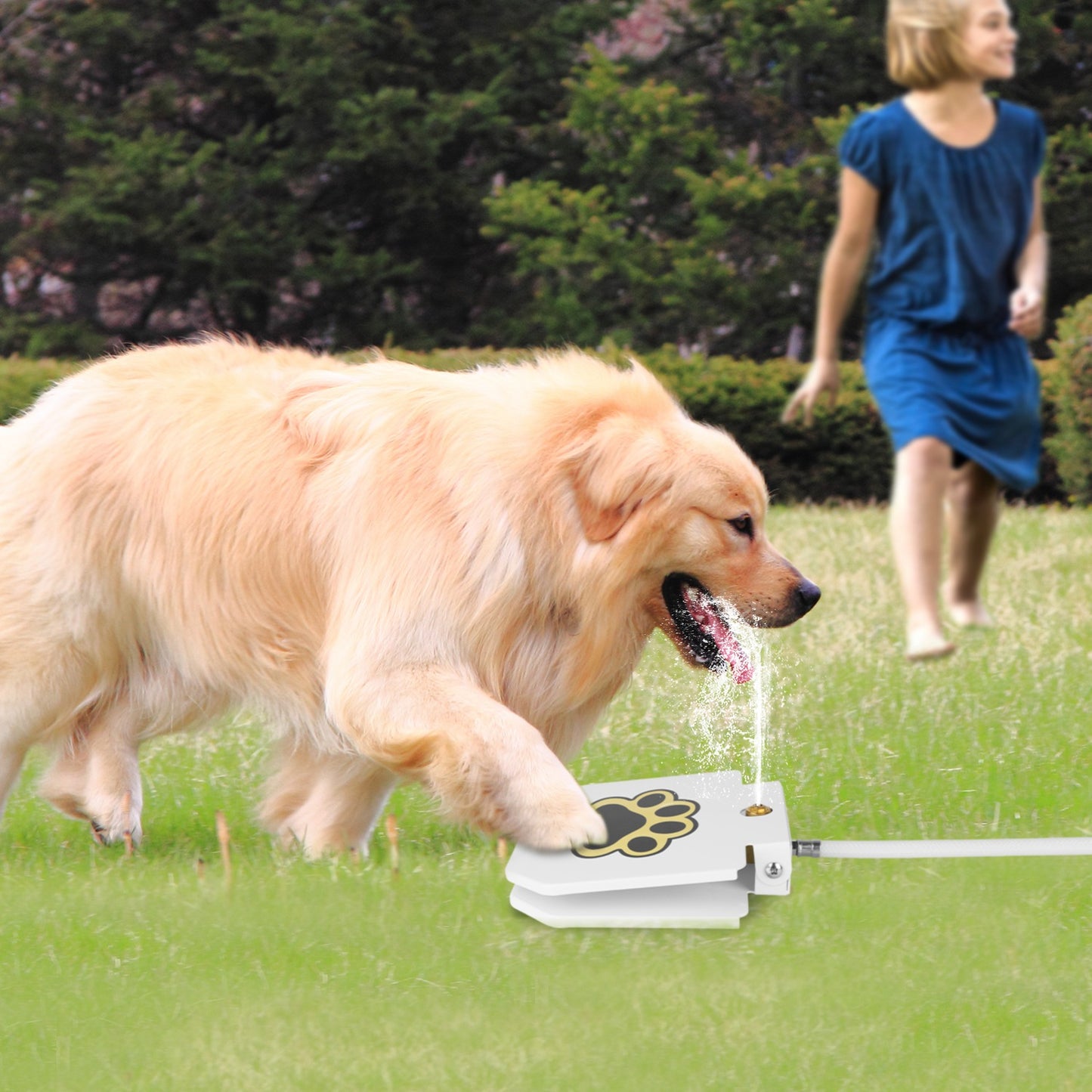 1Pc Dog Water Fountain Outdoor by luvipets