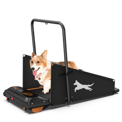 Dog Treadmill Small and Medium Dogs by luvipet