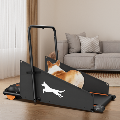Dog Treadmill Small and Medium Dogs by luvipet