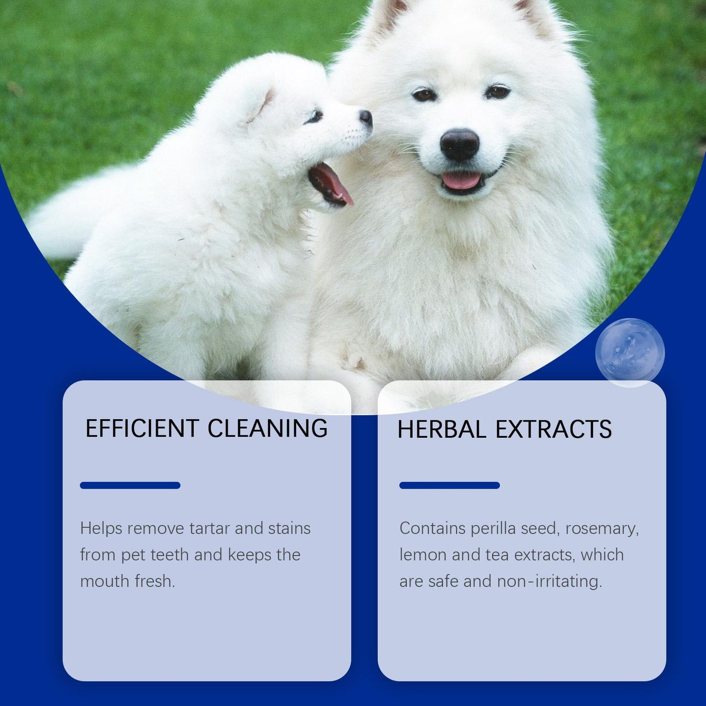 Yeagerbong Dog Tooth Cleaning Powder by luvipets