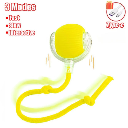 Cat Interactive Ball Smart by luvipets