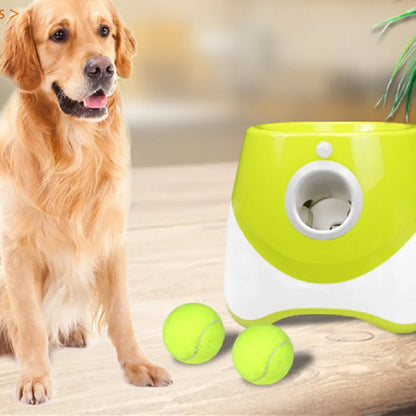 Automatic Tennis Ball Launcher by luvipets