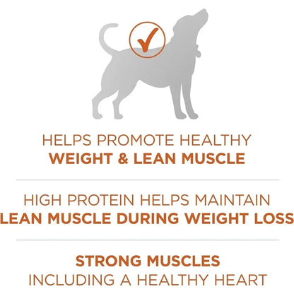 High-Protein Dog Food by luvipets