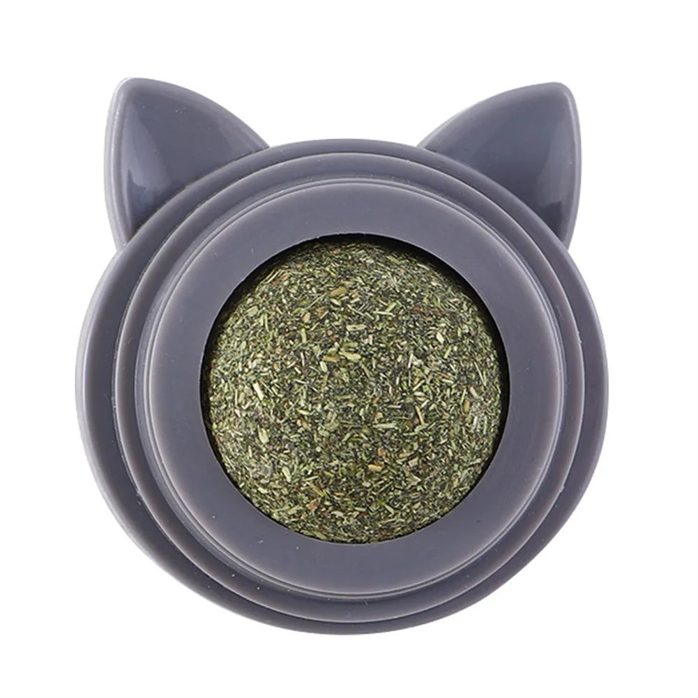 1-3pcs Pet Stuff Healthy Cat by luvipets