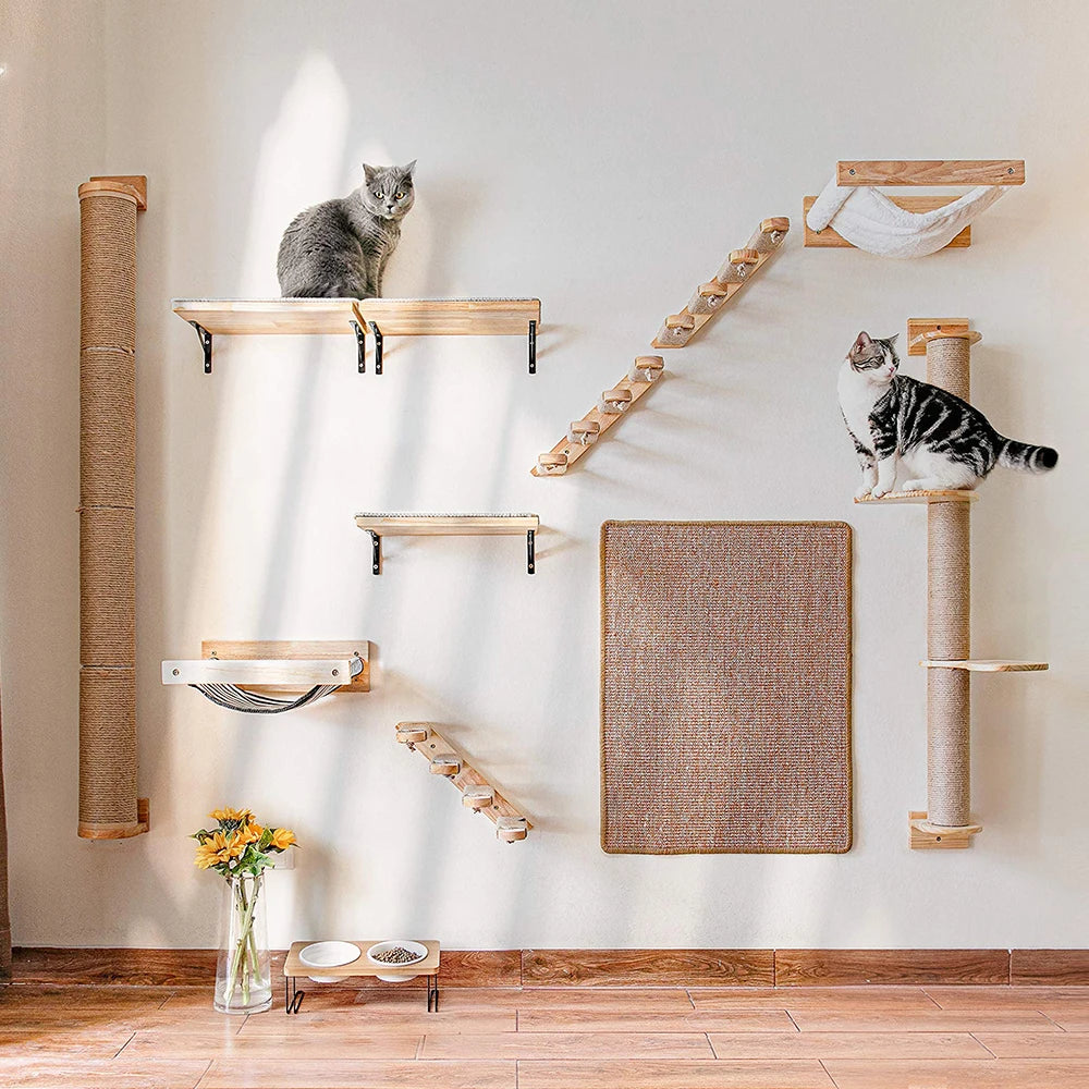 Cat Climbing Shelf Wall by luvipets