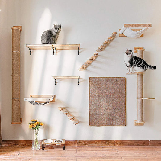 Cat Climbing Shelf Wall by luvipets