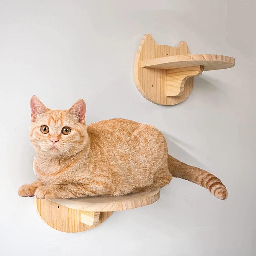 Cat Climbing Shelf Wall by luvipets
