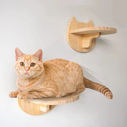 Cat Climbing Shelf Wall by luvipets