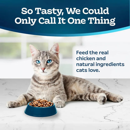 Natural Dry Food for Adult Cats by luvipets