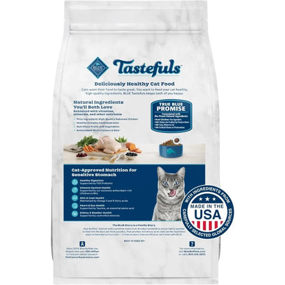 Natural Dry Food for Adult Cats by luvipets