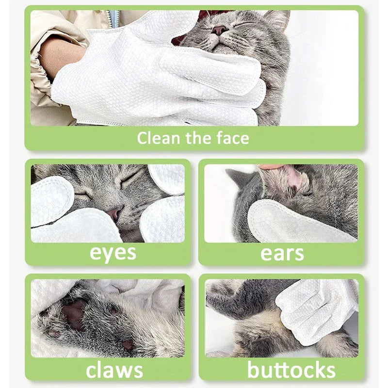 2-in-1 Pet Gloves – Gentle Massage + Odor Elimination in One!