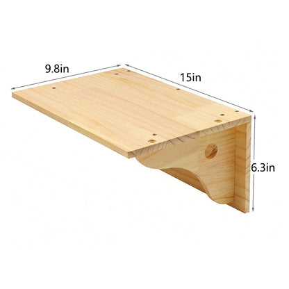 Cat Climbing Shelf Wall by luvipets