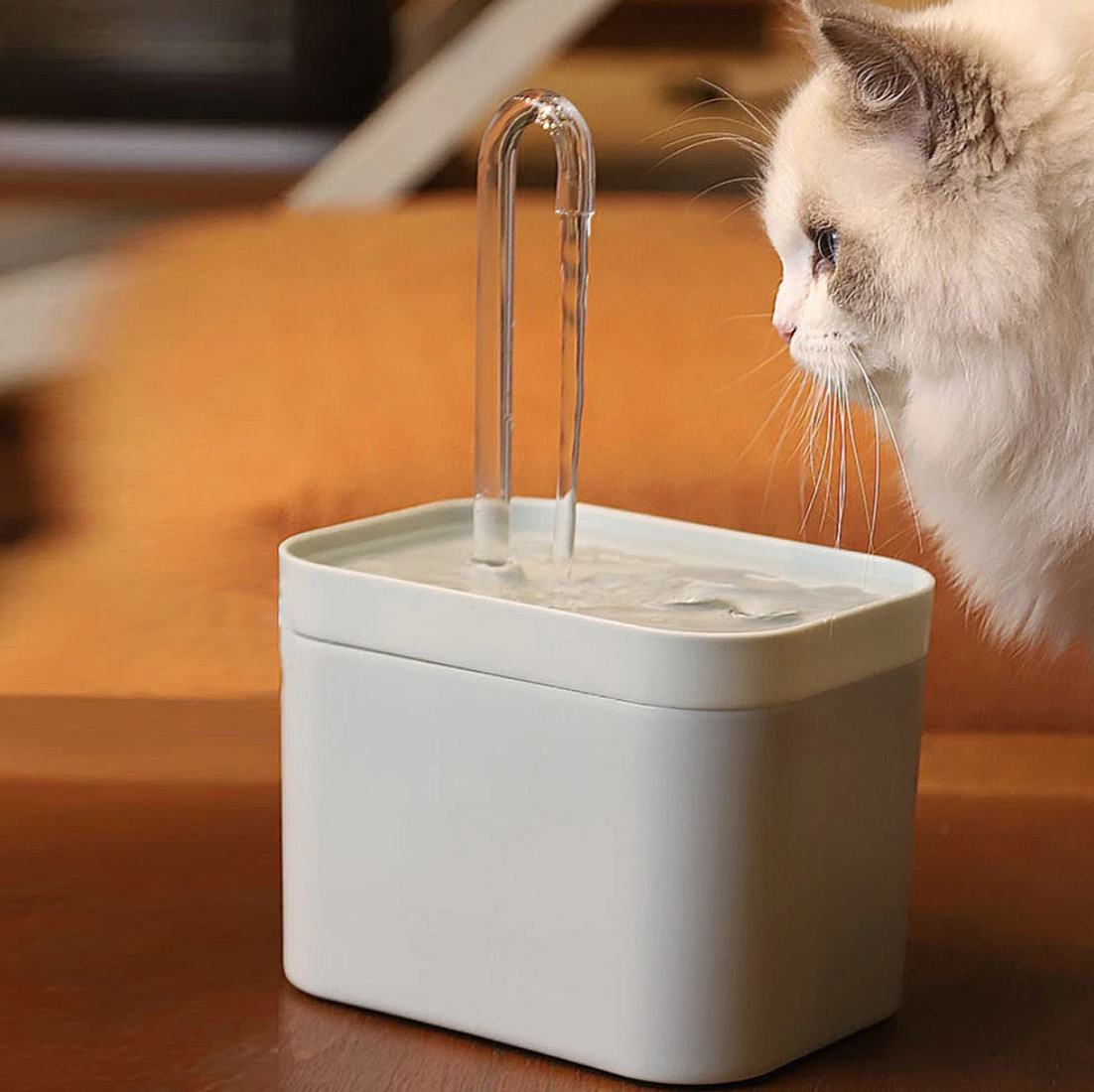 Automatic Cat Water Fountain by luvipets