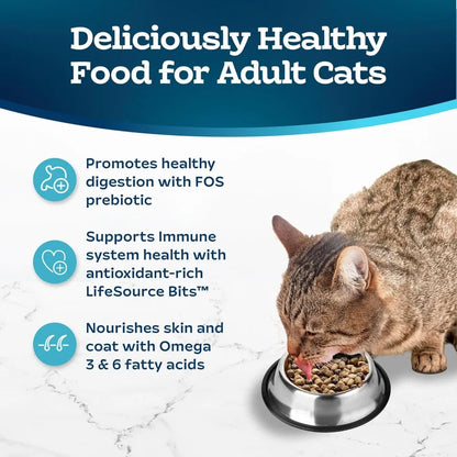 Natural Dry Food for Adult Cats by luvipets