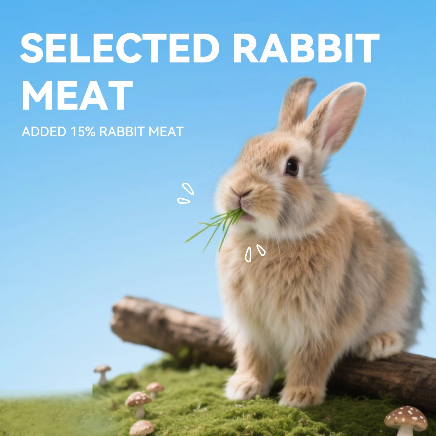 Chanbuni Dog Snack 1.5kg by luvipets