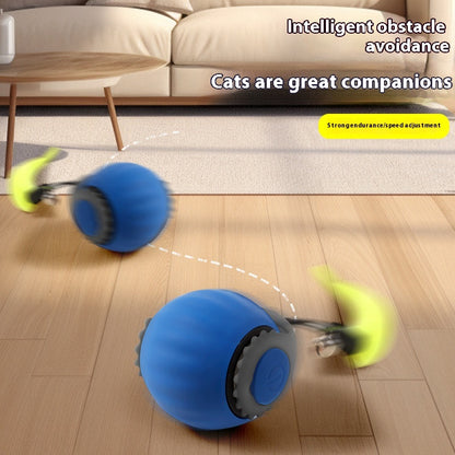 Pet With Gravity Sudden Ball Cat by luvipets