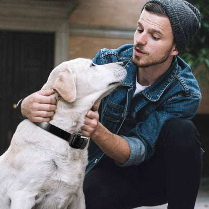 1Pc Dog Training Collar With Remote by luvipets