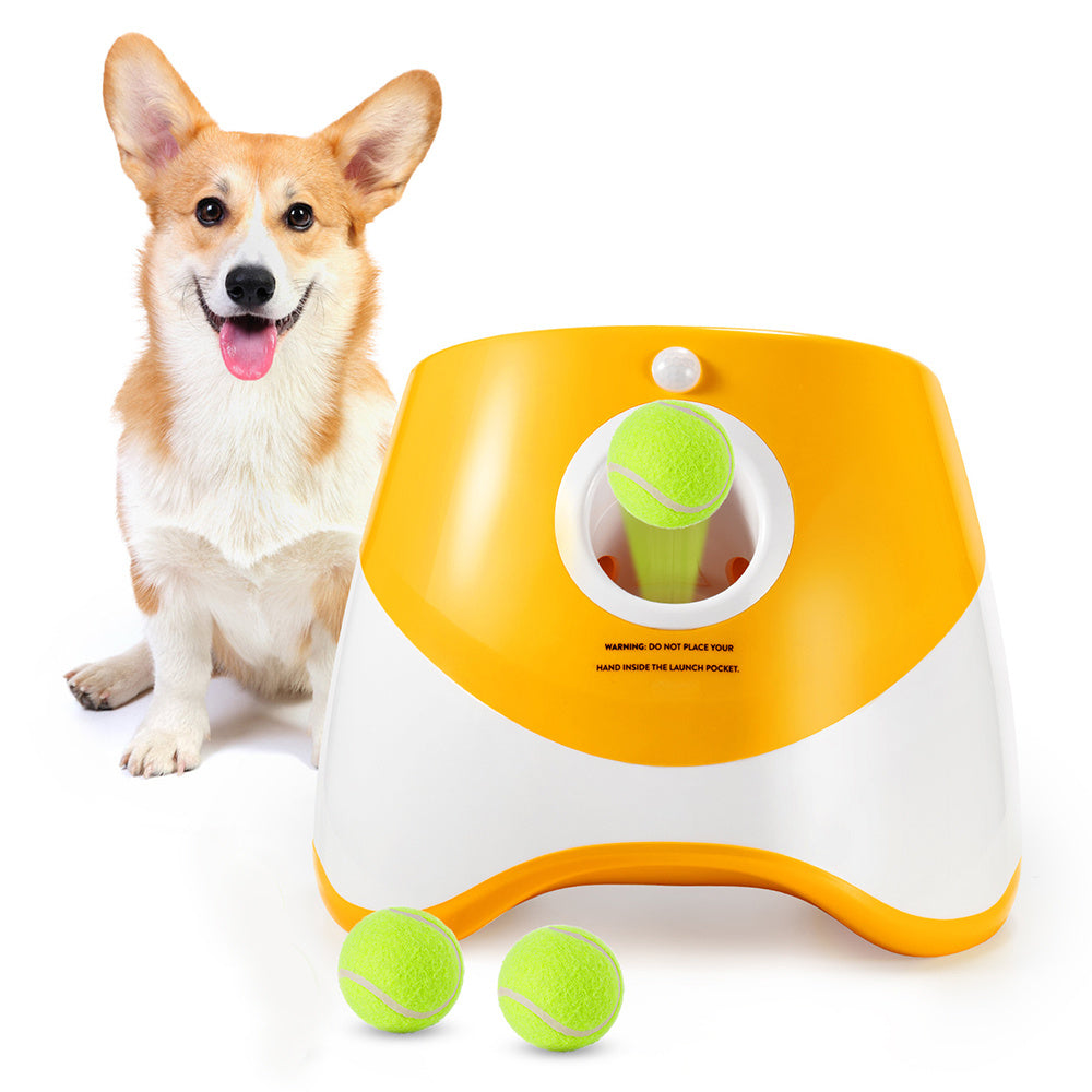 Automatic Throwing Machine  Pet Outdoor by luvipets