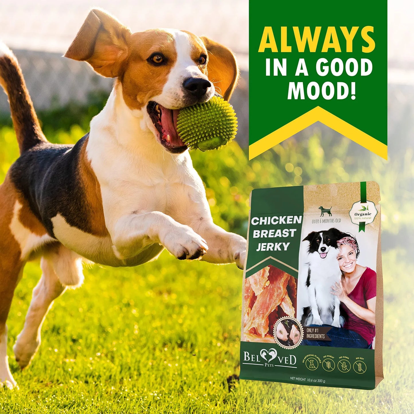 Chicken Jerky Dog Treats All Natural And Organic Healthy Snacks