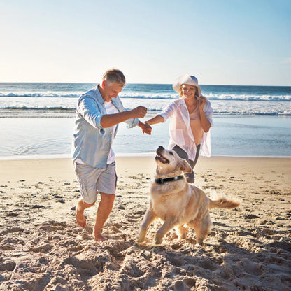 1Pc Dog Training Collar With Remote by luvipets