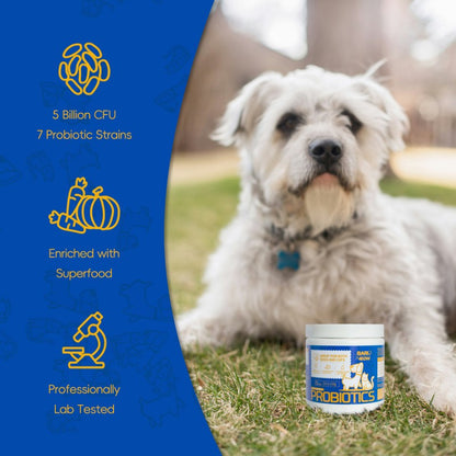 Bark And Meow Probiotics For Dogs & Cats by luvipets