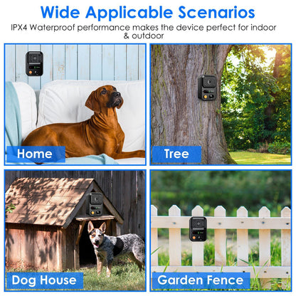 Black-Green Color Options by luvipets